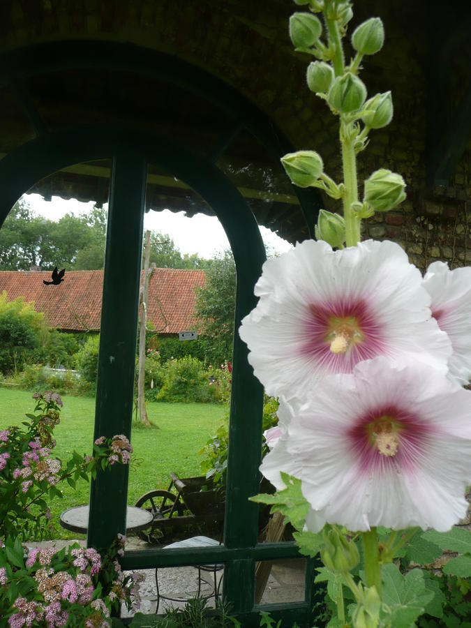 Manoir De Bois En Ardres Bed and Breakfast Eksteriør billede