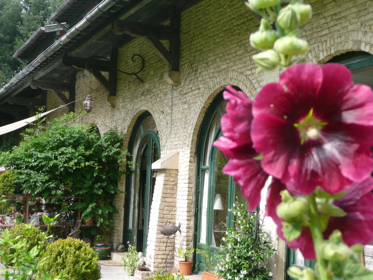 Manoir De Bois En Ardres Bed and Breakfast Eksteriør billede